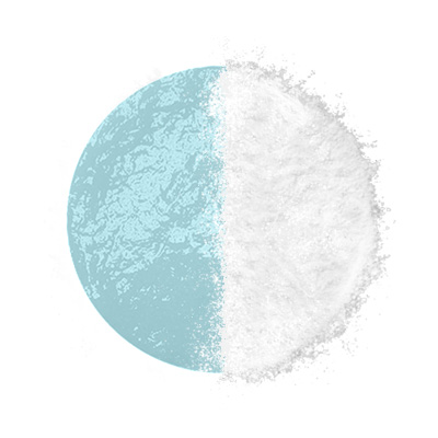 3.SEA MOSS ALGAE 02 SEA MOSS ALGAE